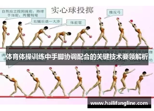 体育体操训练中手脚协调配合的关键技术要领解析
