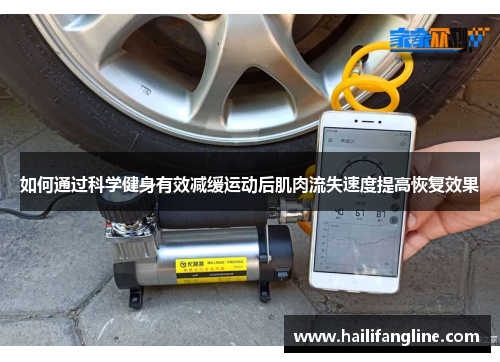如何通过科学健身有效减缓运动后肌肉流失速度提高恢复效果